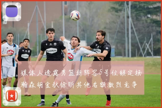 媒体人透露男篮新阵容5号位锁定杨瀚森胡金秋徐昕其他名额激烈竞争